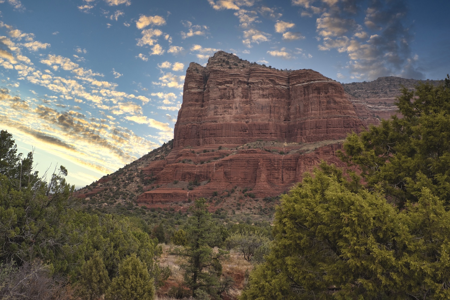 Why Grand Junction Homeowners Choose Mitchell Insurance Group