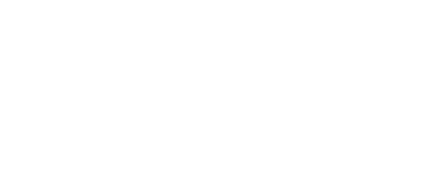 The Mitchell Insurance Group