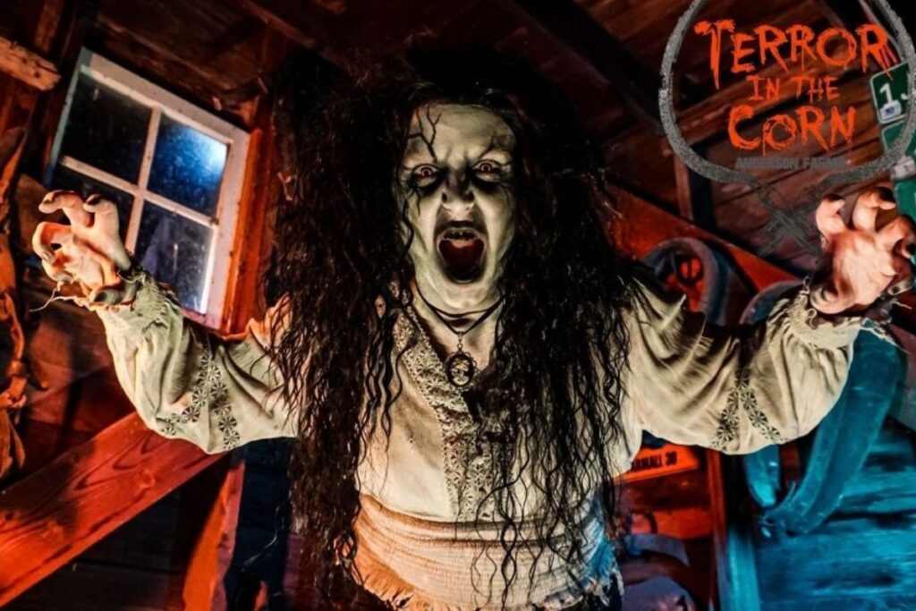 This haunted corn maze is a mile-long, multi-attraction terror trail through the cornfields. Part immersive walk-through, part haunted hayride, part panic-inducing chaos.