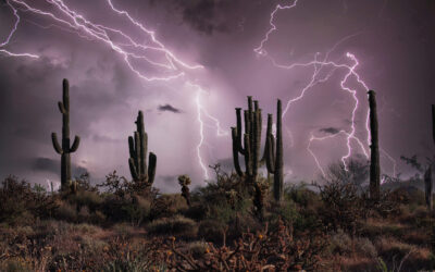 Monsoon Season Is Coming: Is Your Arizona Home Insurance Ready?