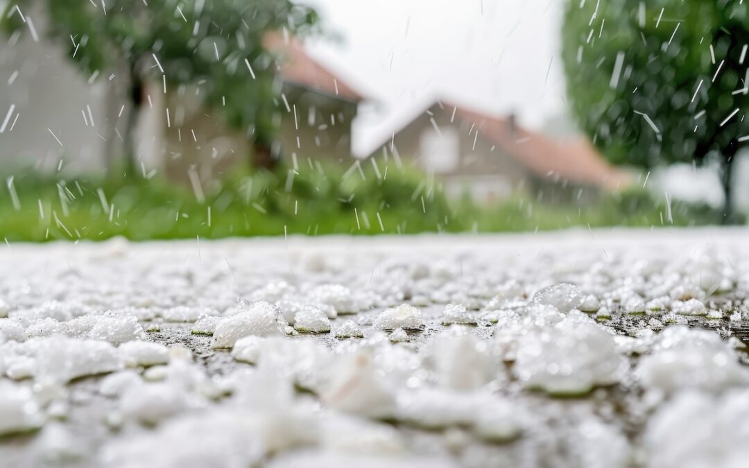 Sola Wind & Hail Buyback Coverage: What Colorado Homeowners Should Know