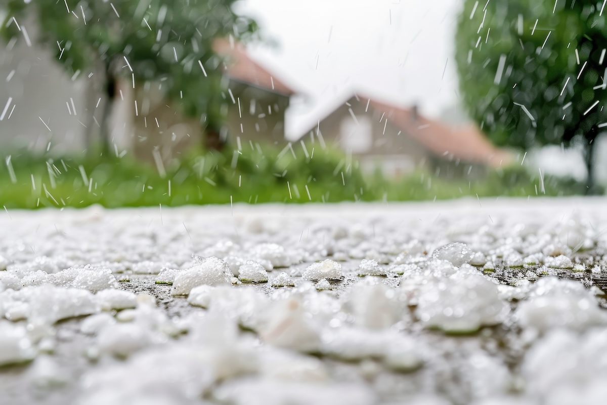 Sola Wind & Hail Buyback Coverage Sola Wind & Hail Buyback Coverage