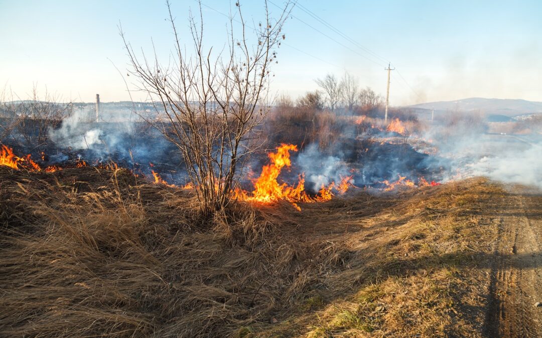 How to Make Your Colorado Home More Wildfire-Ready