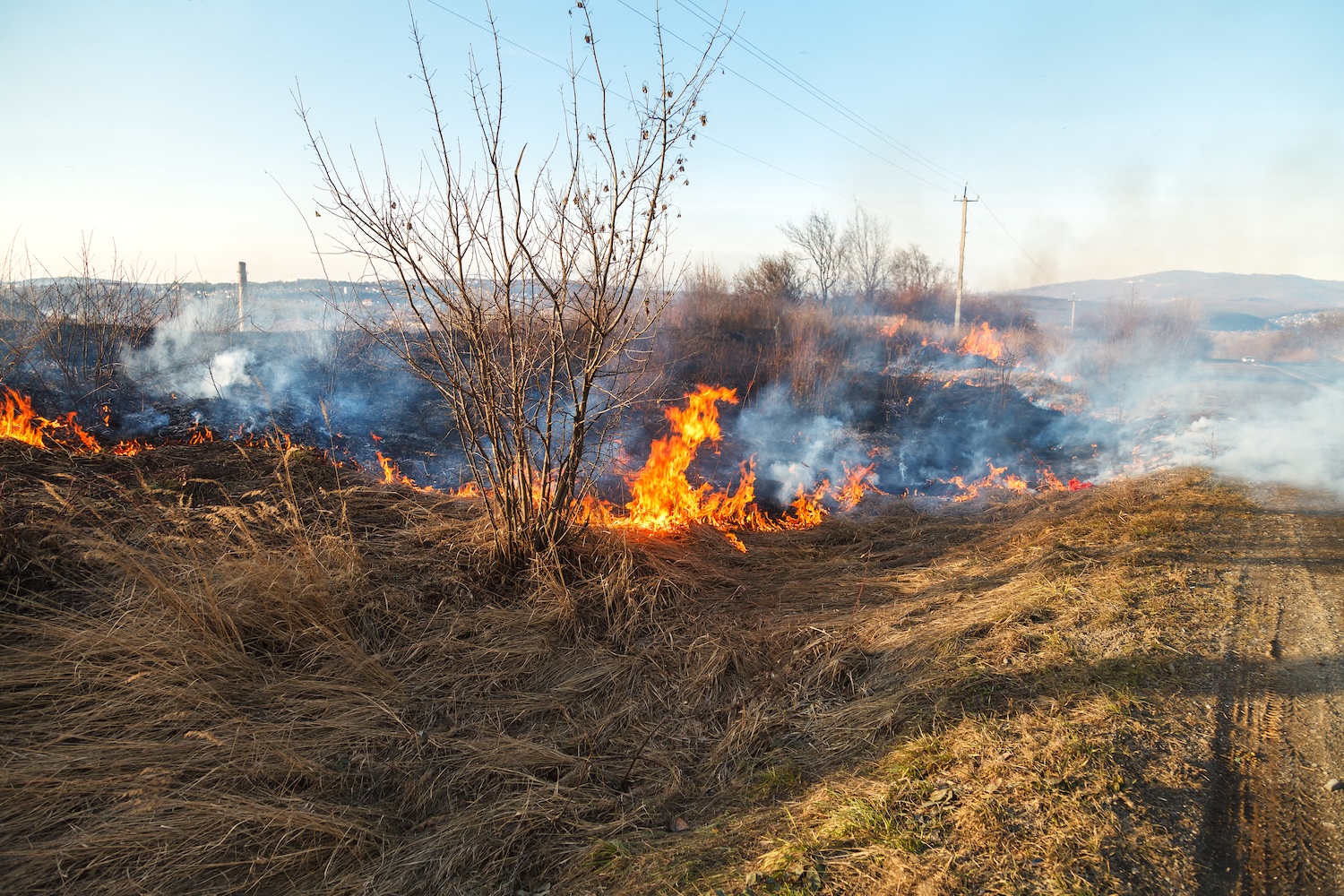 How to Make Your Colorado Home More Wildfire-Ready