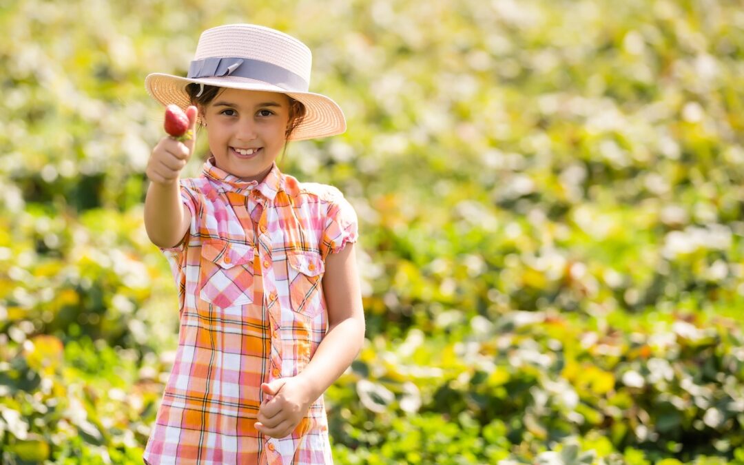 Best Colorado Farms to Visit This Summer