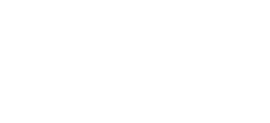 The Mitchell Insurance Group